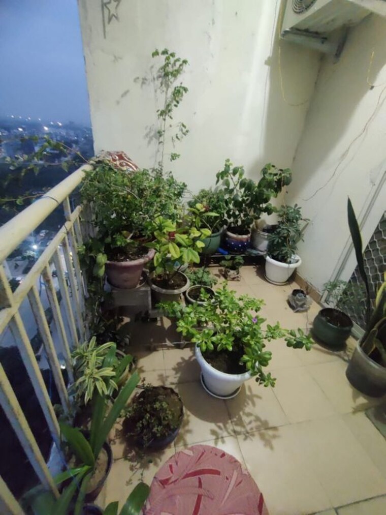 Balcony, paramount-emotions 3.5 Bedroom 1710 Sq.Ft. Apartment In Sector 1 Greater Noida Greater Noida 10466625