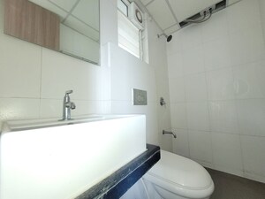Bathroom in 1.5 BHK Apartment at Godrej Emerald, Ghodbunder Road – for Rent