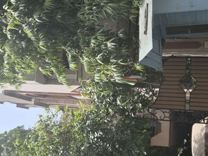 4 BHK Builder Floor – Exterior View View at Pamposh Enclave - for Rent