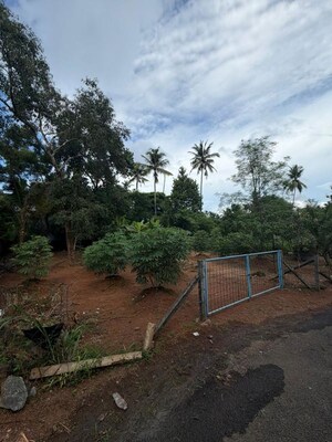 Plot Area in  Plot at Koorkenchery – for Sale