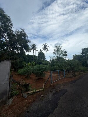 Plot Area in  Plot at Koorkenchery – for Sale