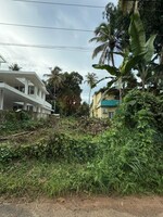 3920 Sq.Ft. Plot in Aranattukara