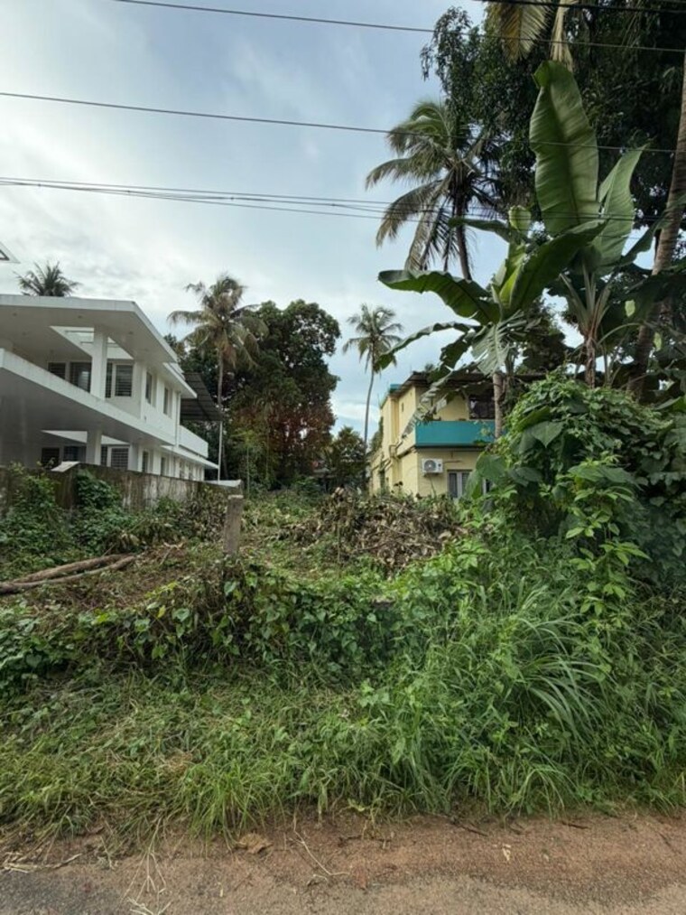 Exterior View, aranattukara  3920 Sq.Ft. Plot In Aranattukara Thrissur 10466765