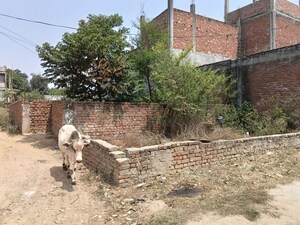  Plot For Sale in Neelendras Amity Greens, Gomti Nagar