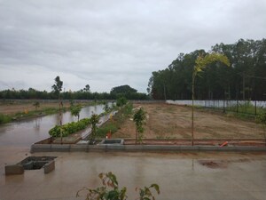  Plot For Sale in Chikka Tirupathi