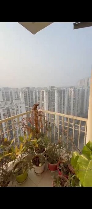 3 BHK Apartment – Exterior View View at Ajnara Homes Phase 2, Sector 16b Greater Noida - for Sale
