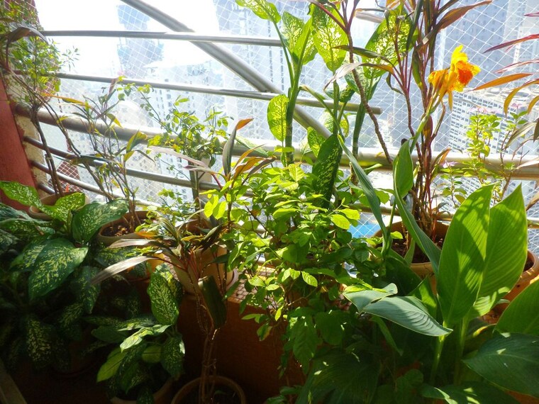 Garden, marathon-next-gen-era 2 Bedroom 1388 Sq.Ft. Apartment In Lower Parel Mumbai 10447233
