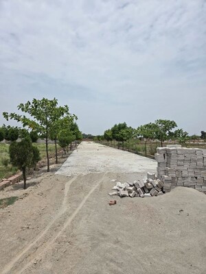 Plot Area in  Plot at Jait – for Sale