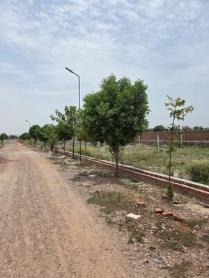 Plot Area in  Plot at Jait – for Sale