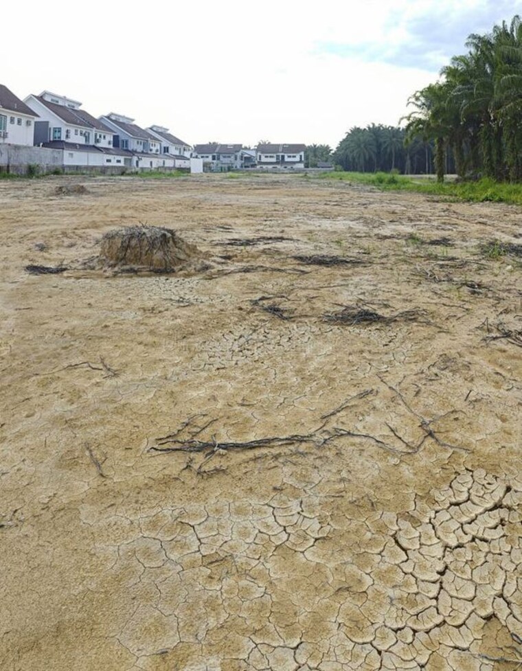 undefined, sector 46  162 Sq.Mt. Plot In Sector 46 Noida 10467475