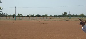  Plot For Sale in Pandaripuram