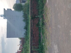 Plot For Sale in Gurdev Nagar