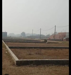 Plot Area in  Plot at Sector 149 – for Sale
