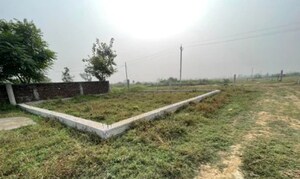  Plot For Sale in Sector 151