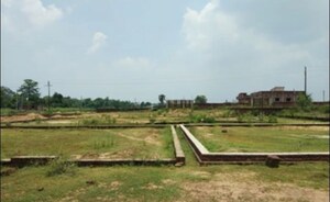 Plot Area in  Plot at Sector 151 – for Sale