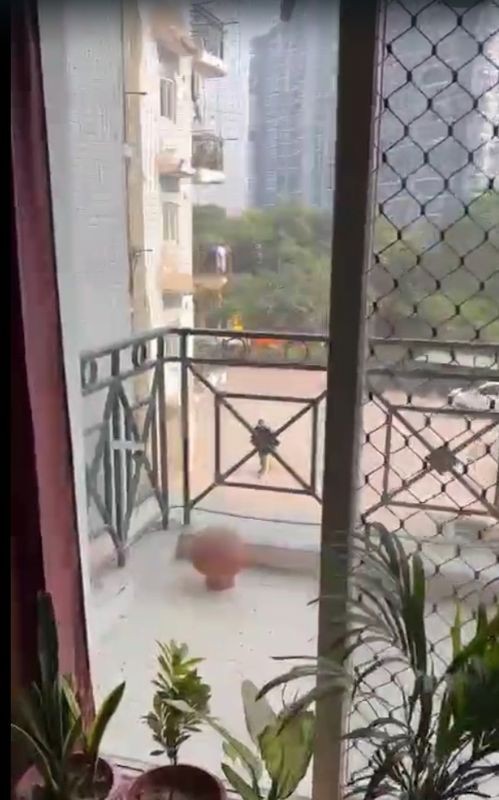 2 BHK 950 Sq.Ft. Apartment in SVP Gulmohur Residency