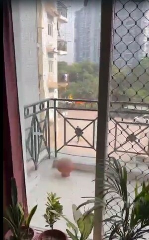 2 BHK Apartment For Rent in SVP Gulmohur Residency, Indrapuram