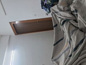 3 BHK Villa For Rent in Sector 19