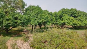  Plot For Sale in Manduwala