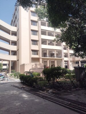 3 BHK Apartment For Rent in Amolik Sankalp, Sector 85