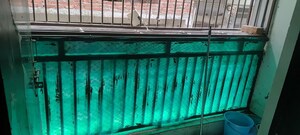 Balcony in 2 BHK Builder Floor at MSP Arihant Apartments, Sector 73 – for Rent