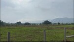 10000 Sq.Ft. Plot in Kamshet