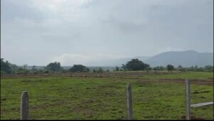  Plot For Sale in Kamshet