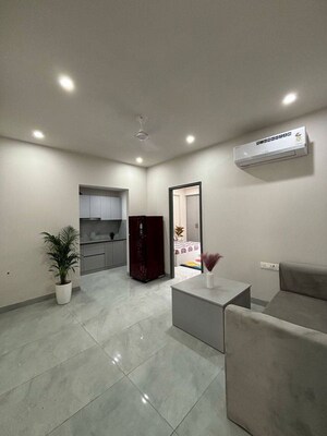 Living Room in 1 BHK Apartment at Allure Homes, Sector 14 – for Rent