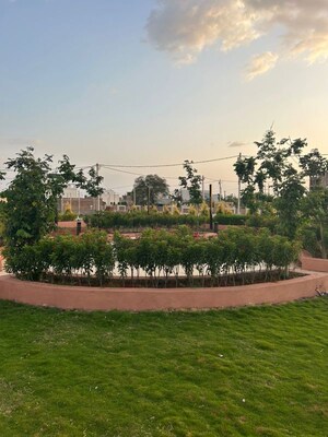  Plot For Sale in Ringnodiya