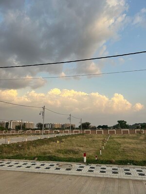 Plot Area in  Plot at Ringnodiya – for Sale