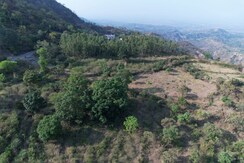 Plot For Sale in SBP Hillwood Greens