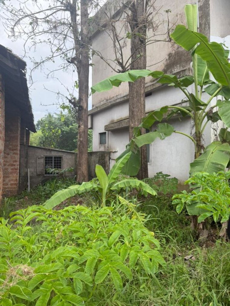 undefined, pullazhi Commercial Land 2178 Sq.Ft. In Pullazhi Thrissur 10468583