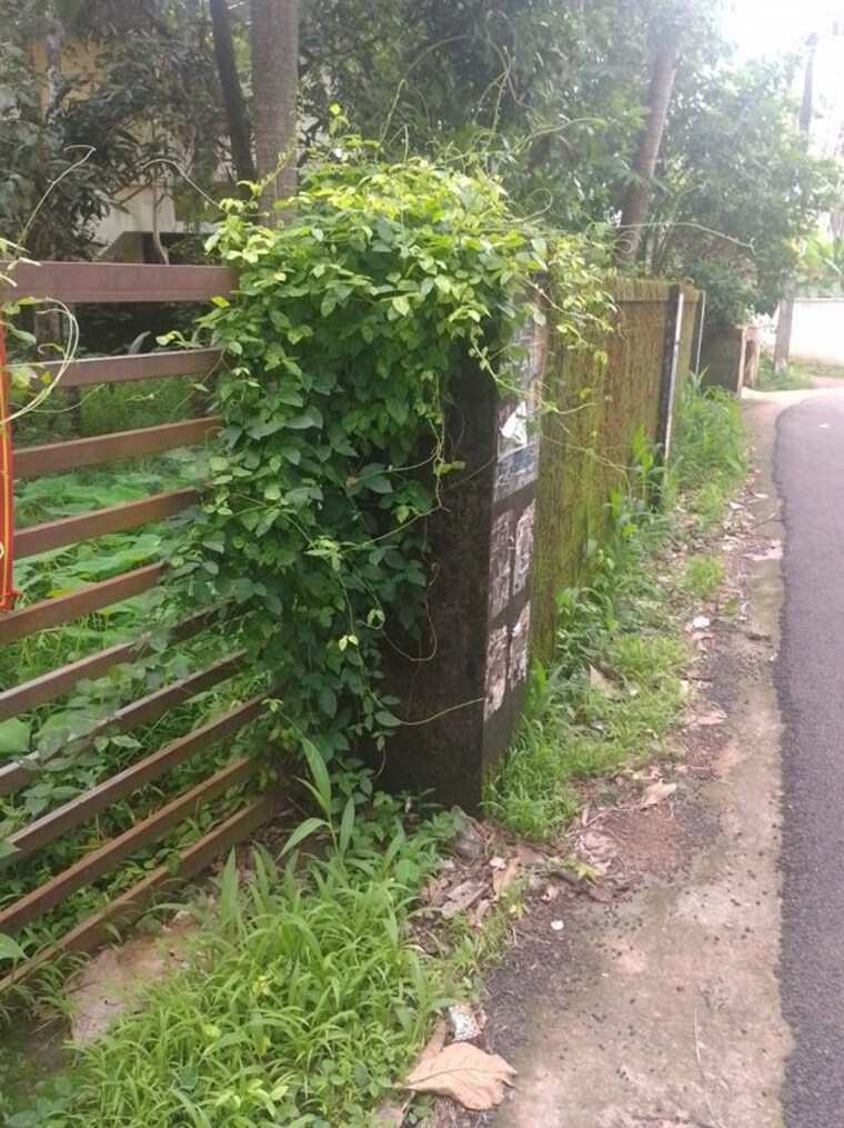 undefined, poothole Commercial Land 9365 Sq.Ft. In Poothole Thrissur 10468602