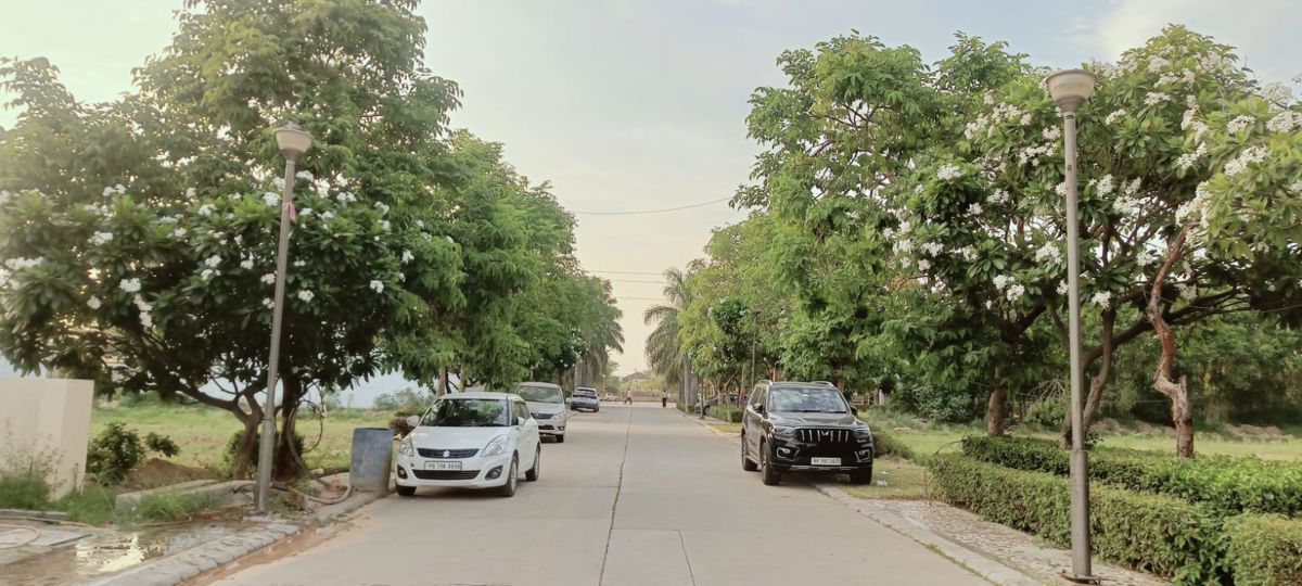 3 BHK + Pooja Room 1950 Sq.Ft. Builder Floor in Omaxe New Chandigarh
