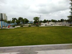 3 BHK Apartment For Sale in Zen Elite