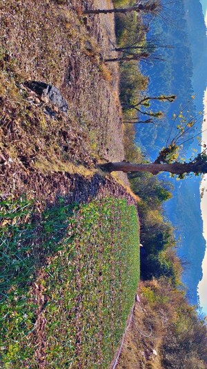 Plot Area in  Plot at Dolanji – for Sale