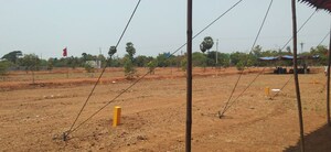  Plot For Sale in Trunk Road