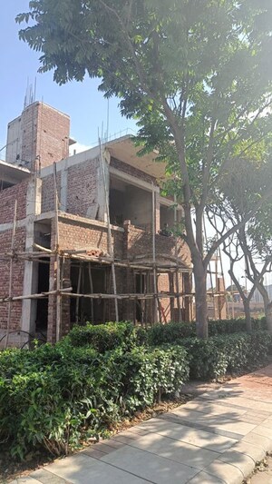  Plot – Exterior View View at South Mullanpur - for Sale