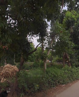  Plot – Exterior View View at Jakhan - for Sale