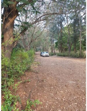 Plot Area in  Plot at Sandesh Nagar – for Sale