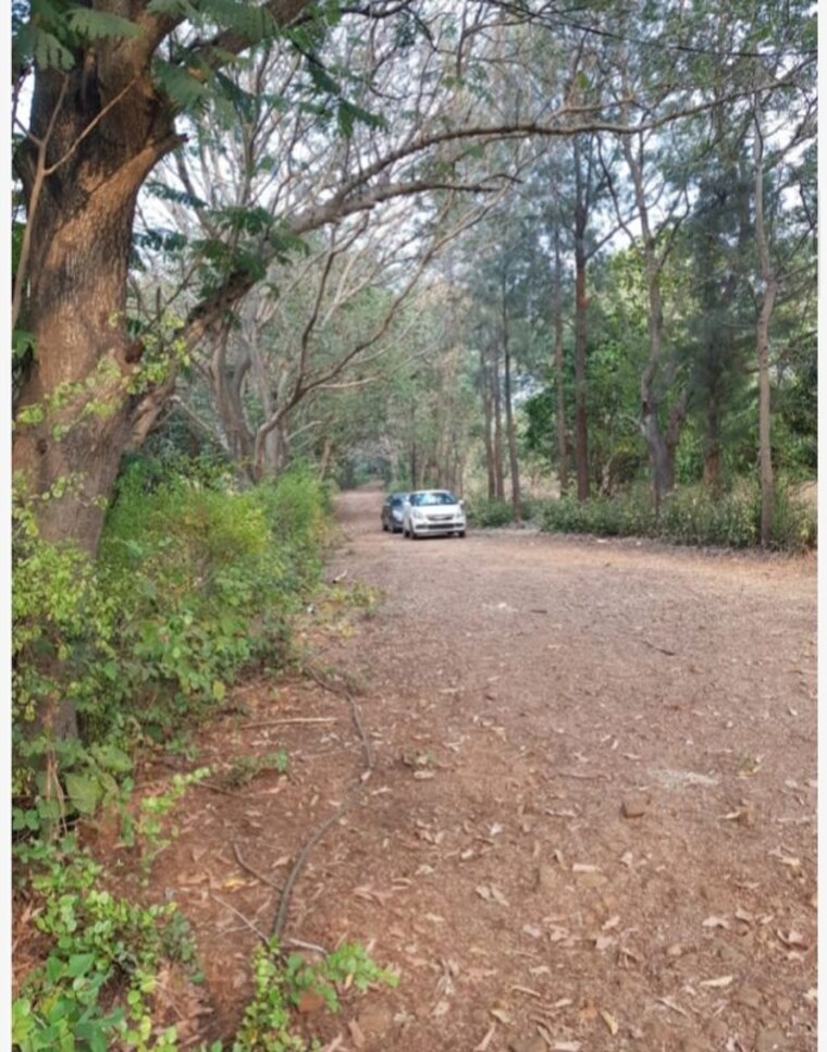 undefined, sandesh nagar  91 Acre Plot In Sandesh Nagar Mumbai 10469512