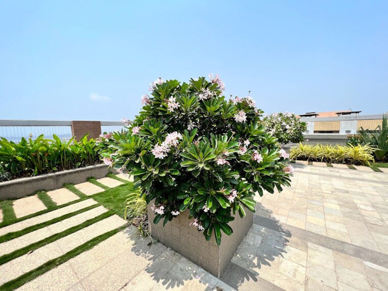 Terrace, adani-group-western-heights 3 Bedroom 1100 Sq.Ft. Apartment In Andheri West Mumbai 10469661