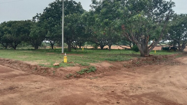 undefined, shadnagar  308 Sq.Yd. Plot In Shadnagar Hyderabad 10469763
