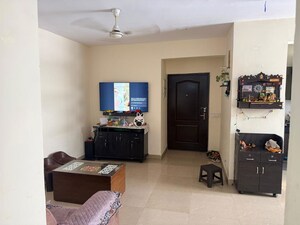 3 BHK Apartment For Rent in Aditya Celebrity Homes, Sector 76