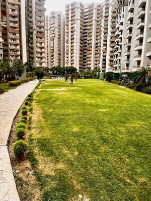 3 BHK Apartment – Garden View at Supertech Cape Town, Sector 74 - for Rent