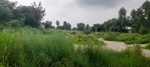 Plot Area in  Land at Bhagpur – for Sale