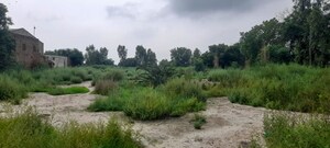 Plot Area in  Land at Bhagpur – for Sale