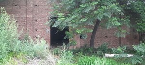  Land – Garden View at Bhagpur - for Sale