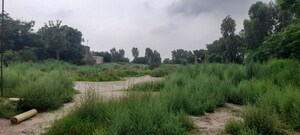 Plot Area in  Land at Bhagpur – for Sale
