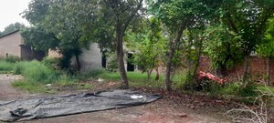 Plot Area in  Land at Bhagpur – for Sale
